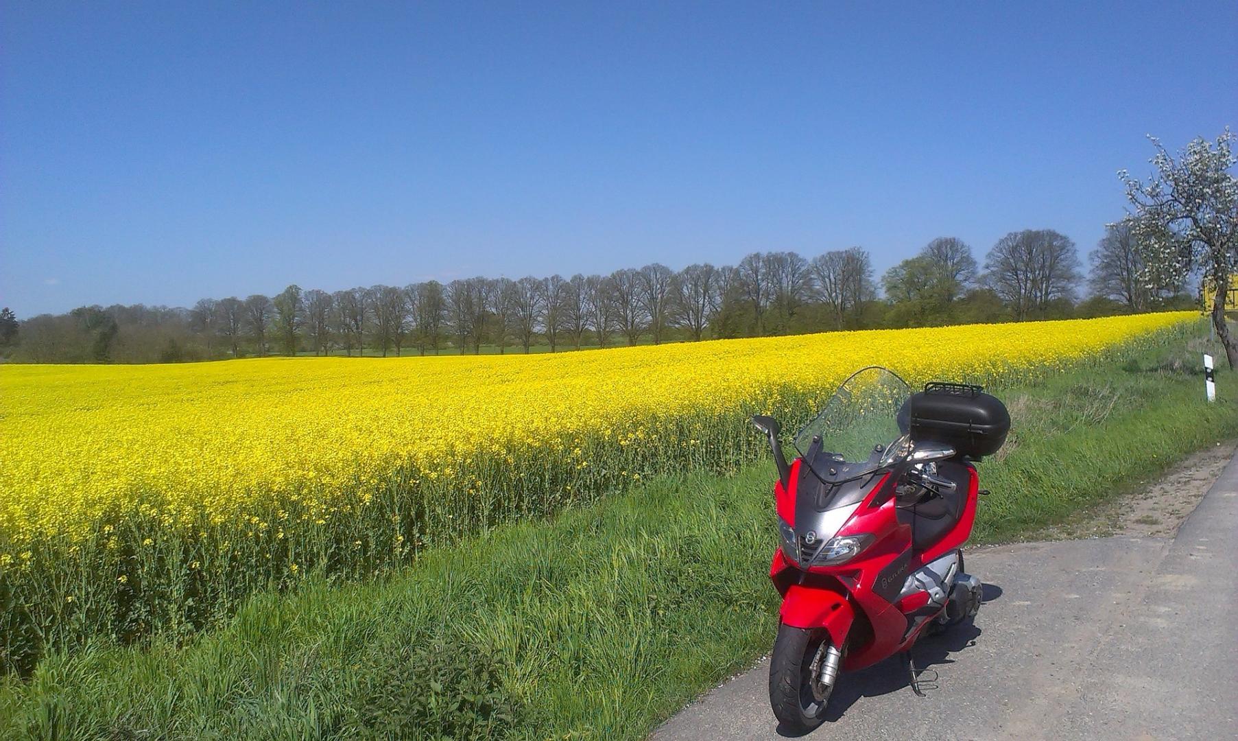 moto au bord d'un champ